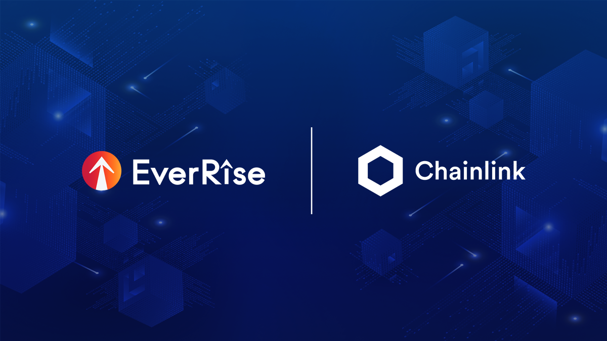 everrise crypto price